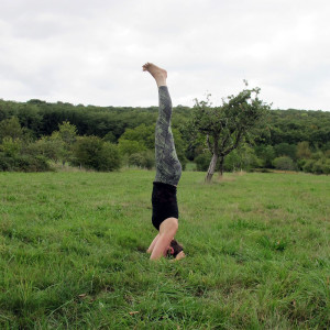 posture-salamba-sirsasana-1000px-300x300 Yoga en plein air