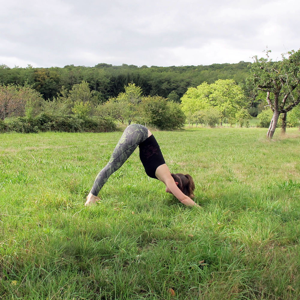 posture-adho-mukka-svanasana-1000px Mercredi Défi & Mudra