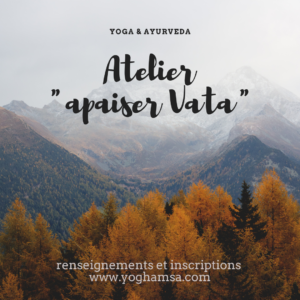 Atelier-apaiser-Vata-1-300x300 Atelier apaiser Vata (1)