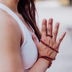 ahimsa-300x300 ahimsa