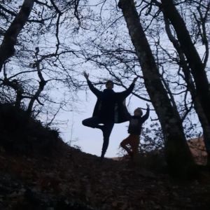 arbre-en-famille-300x300 arbre-en-famille
