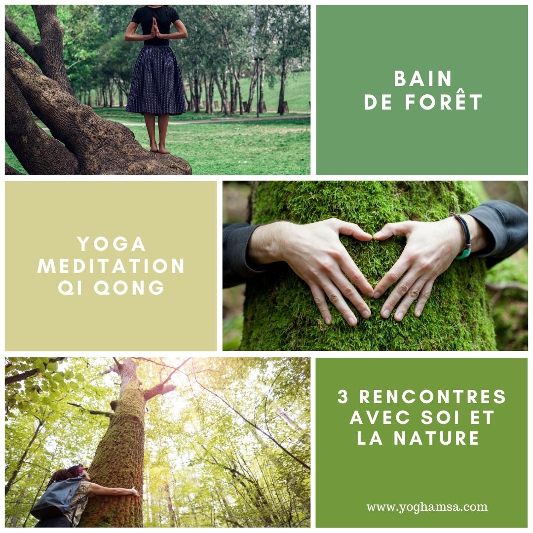 bains de forêt yoghamsa
