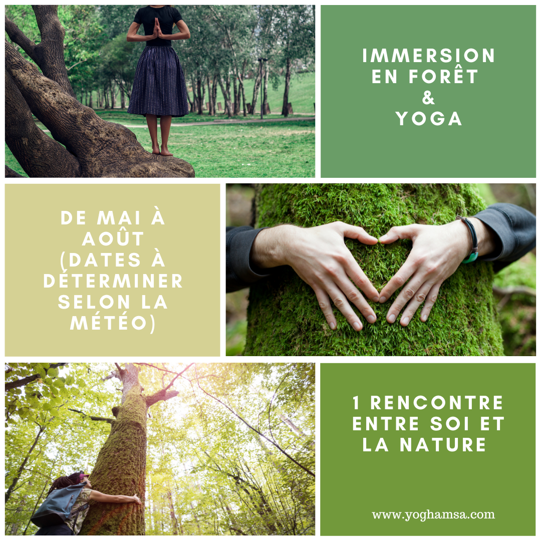 Yoga-en-foret1 Accueil