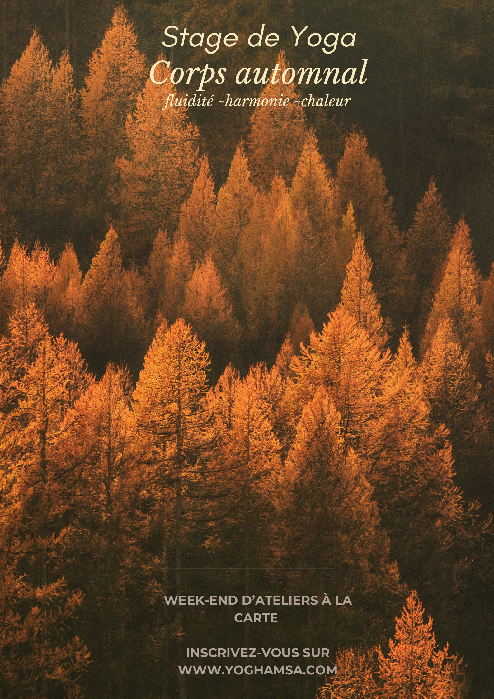 Stage-yoga-automne- Stage & Atelier de Yoga