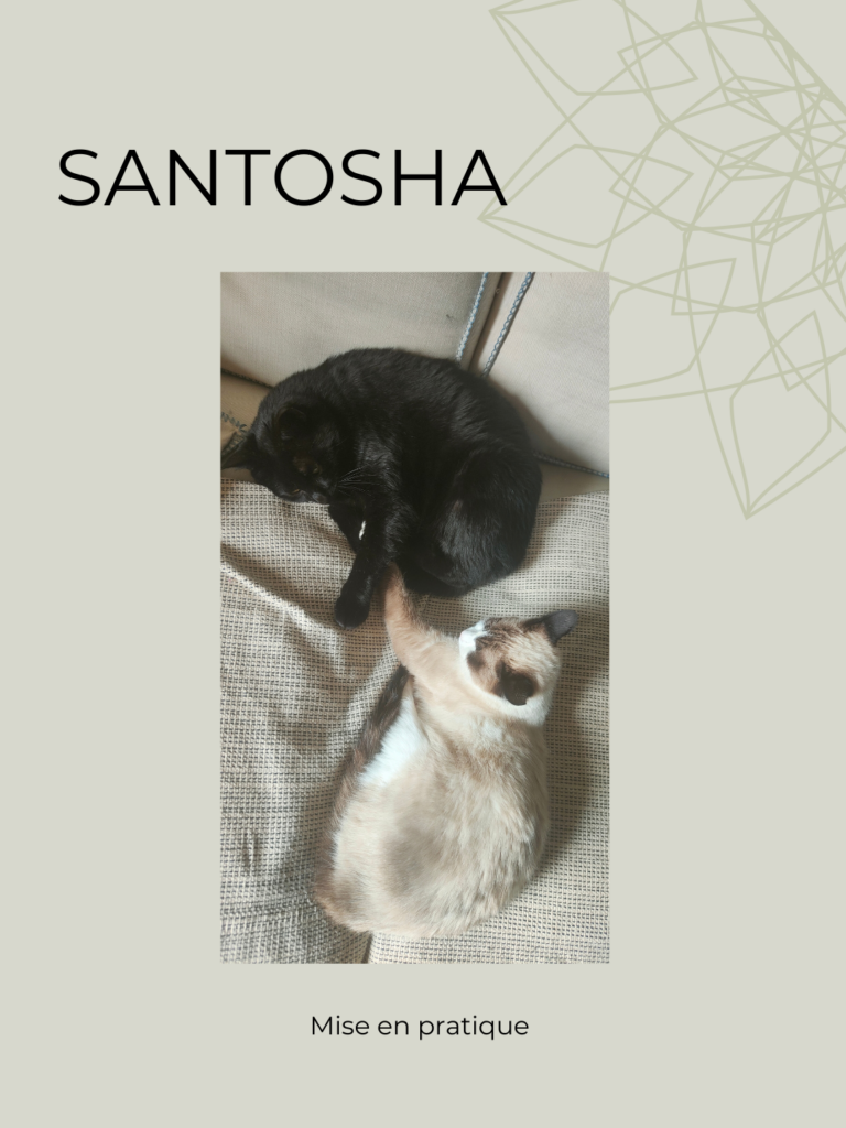 9-768x1024 A P R E S ~Pratiques de Maintenant