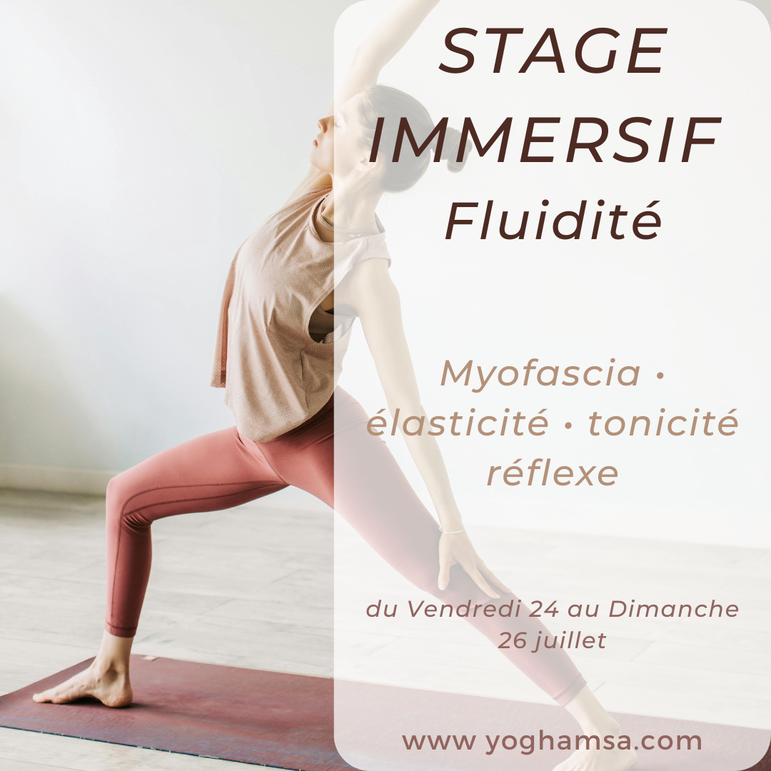 Stage-immersif-fluidite