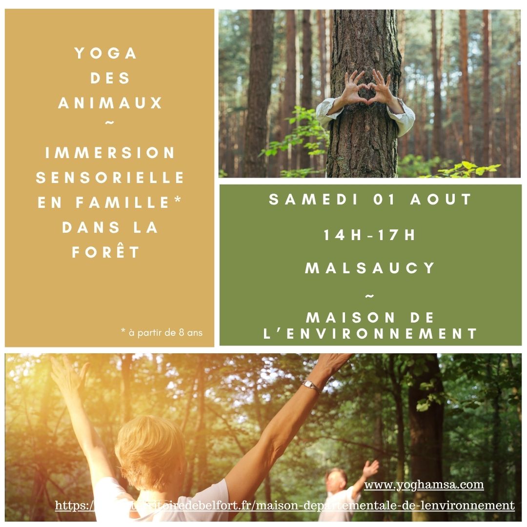2 Accueil